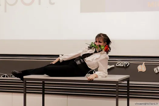 Copyright : Vincent Folliard